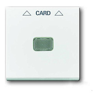2CKA001710A3864 Накладка на карточный выключатель ABB BASIC55, скрытый монтаж, альпийский белый, 2CKA001710A3864
