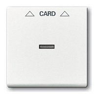 2CKA001710A3641 Накладка на карточный выключатель ABB, скрытый монтаж, альпийский белый, 2CKA001710A3641