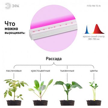 Б0045231 Светильник для растений, фитолампа светодиодная линейная ЭРА FITO-9W-Т5-N красно-синего спектра 9 Вт Т5  - фотография 8