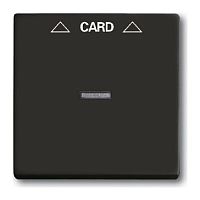 2CKA001710A3933 Накладка на карточный выключатель ABB BASIC55, скрытый монтаж, château-black, 2CKA001710A3933