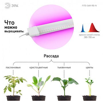 Б0045697 Светильник для растений, фитолампа светодиодная линейная ЭРА FITO-36W-RB-N красно-синего спектра 36 Вт  - фотография 4