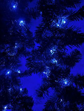 Б0047962 ENIN -5NB ЭРА Гирлянда LED Нить 5 м синий свет, АА (100/2500)  - фотография 8