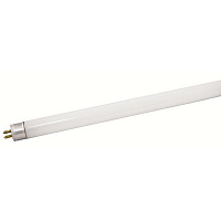 SQ0355-0018 Лампа люминесцентная линейная двухцокольная ЛЛ-16/8 Вт, T5/G5, 6500 К, длина 302,5мм TDM