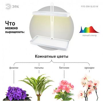 Б0039034 Настольный светильник для растений ЭРА FITO-20W-QLED-W полного спектра 20 Вт белый  - фотография 6