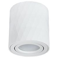 A5559PL-1WH FANG, Накладной светильник, цвет арматуры - белый, цвет плафона/декора - , 1х50W GU10