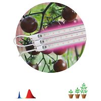 Б0050924 Модульный светильник для растений ЭРА FITO-3х10W-LINE-RB90 красно-синего спектра 30 Вт