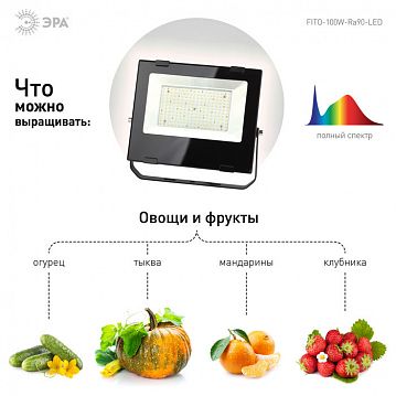 Б0047876 Фитопрожектор для растений светодиодный ЭРА FITO-100W-Ra90-LED для цветения и плодоношения полного спектра 100 Вт  - фотография 5