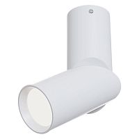 C027CL-L10W Ceiling & Wall Dafne Потолочный светильник, цвет -  Белый, 10W
