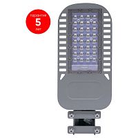 41262 Уличный светодиодный светильник 30W 5000K  AC230V/ 50Hz цвет серый (IP65), SP3050