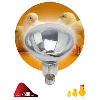 Б0042991 Инфракрасная лампа ЭРА ИКЗ 220-250 R127 для обогрева животных 220-250 Вт Е27
