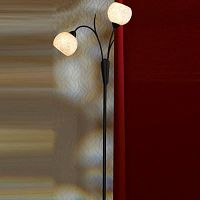 BAGHERIA Торшер, цвет основания - коричневый, плафон - стекло (цвет - белый), 2x40W E14, LSF-6295-02