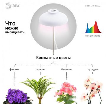 Б0039068 Светильник для растений ЭРА FITO-12W-FLED штыковой полного спектра 12 Вт  - фотография 6