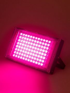 Б0053082 Фитопрожектор для растений светодиодный ЭРА FITO-80W-RB-LED-Y красно-синего спектра  - фотография 7