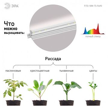Б0049313 Светильник для растений, фитолампа светодиодная линейная ЭРА FITO-18W-T5-Ra90 полного спектра 18 Вт Т5  - фотография 8