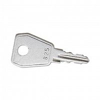 818SL Ключ Jung коллекции JUNG, серый, 818SL
