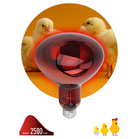 Б0055442 Инфракрасная лампа ЭРА ИКЗК 220-250 R127, кратность 1 шт. для обогрева животных и освещения, 250 Вт, Е27