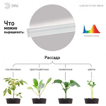 Б0028201 Светильник для растений, фитолампа светодиодная линейная ЭРА LLED-05-T5-FITO-18W-W розового свечения 18 Вт  - фотография 6