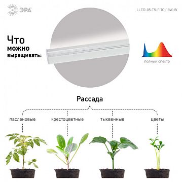 Б0028201 Светильник для растений, фитолампа светодиодная линейная ЭРА LLED-05-T5-FITO-18W-W красно-синего спектра 18 Вт  - фотография 6