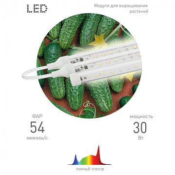 Б0049315 Модульный светильник для растений ЭРА FITO-3х10W-LINE-Ra90 полного спектра 30 Вт  - фотография 5