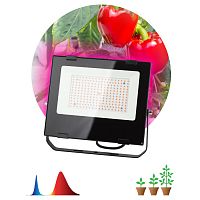 Б0046369 Фитопрожектор для растений светодиодный ЭРА FITO-100W-RB-LED для цветения и плодоношения красно-синего спектра 100 Вт