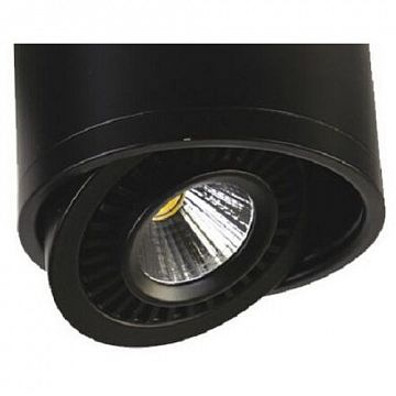 1779-1C Reflector потолочный светильник D115*H85, 1*LED*12W, AC:100-240V, RA>80, IP21, 960LM, 4000K, included; потолочный светильник с поворотным источником света, черный цвет каркаса  - фотография 4