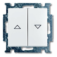 2CKA001012A2140 Выключатель для жалюзи 2-клавишный кнопочный ABB BASIC55, механический, скрытый монтаж, альпийский белый, 2CKA001012A2140