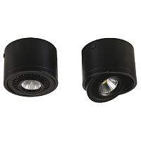 Reflector потолочный светильник D115*H85, 1*LED*12W, AC:100-240V, RA&gt;80, IP21, 960LM, 4000K, included; потолочный светильник с поворотным источником света, черный цвет каркаса