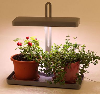 Б0039035 Настольный светильник для растений ЭРА FITO-20W-QLED-G полного спектра 20 Вт серый  - фотография 7