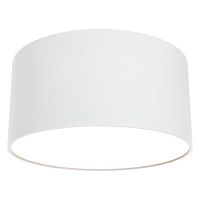 C032CL-L12W3K Ceiling & Wall Потолочный светильник, цвет: Белый 12W