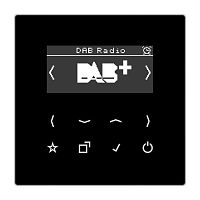 DABLSSW Цифровое радио Jung LS 990, с дисплеем, электронный, скрытый монтаж, черный, DABLSSW