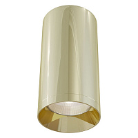 C010CL-01G Ceiling & Wall Focus Потолочный светильник, цвет -  Золото, 1х50W GU10
