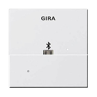 228503 Накладка USB-микро-B для вставки док-станции Gira SYSTEM 55, скрытый монтаж, белый глянцевый, 228503