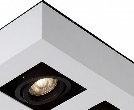 09119/21/31 XIRAX Потолочный светильник 4xGU10/5W LED DTW White  - фотография 4