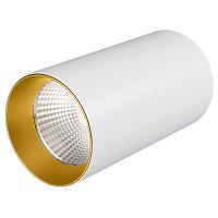 022942 Светильник накладной SP-POLO-R85-1-15W Warm White 40deg (White, Gold Ring) (Arlight, IP20 Металл, 3 года)