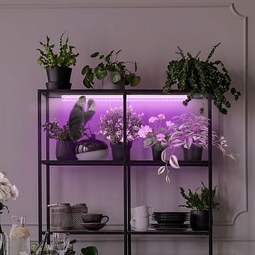 Б0028200 Светильник для растений, фитолампа светодиодная линейная ЭРА LLED-05-T5-FITO-14W-W розового свечения 14 Вт  - фотография 8