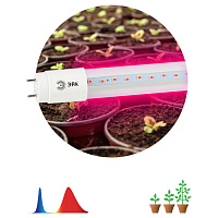 Б0042986 Фитолампа для растений светодиодная ЭРА FITO-9W-RB-Т8-G13-NL красно-синего спектра 9 Вт Т8 G13