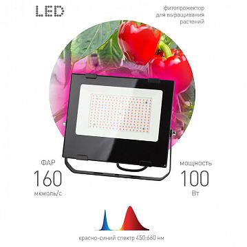 Б0046369 Фитопрожектор для растений светодиодный ЭРА FITO-100W-RB-LED для цветения и плодоношения красно-синего спектра 100 Вт  - фотография 4