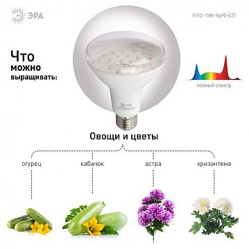 Б0039173 Фитолампа для растений светодиодная ЭРА FITO-15W-Ra90-E27 полного спектра 15 Вт Е27  - фотография 6