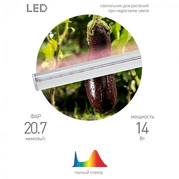 Б0028200 Светильник для растений, фитолампа светодиодная линейная ЭРА LLED-05-T5-FITO-14W-W красно-синего спектра 14 Вт  - фотография 4