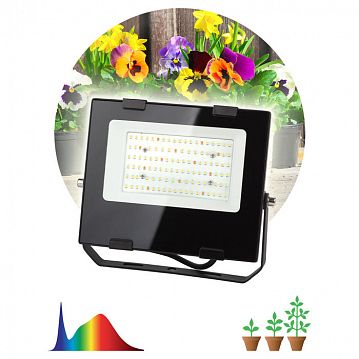 Б0047875 Фитопрожектор для растений светодиодный ЭРА FITO-50W-Ra90-LED для цветения и плодоношения полного спектра 50 Вт
