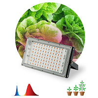 Б0053082 Фитопрожектор для растений светодиодный ЭРА FITO-80W-RB-LED-Y красно-синего спектра