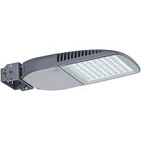FREGAT FLOOD LED/B 110W D30 750 RAL9006 светильник