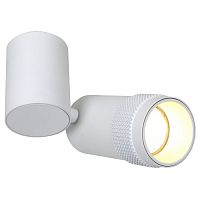 Kinescope потолочный светильник L130*W65*H175, 1*GU10LED*5W, excluded; каркас белого цвета