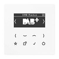 DABLSWW Цифровое радио Jung LS 990, с дисплеем, электронный, скрытый монтаж, белый, DABLSWW
