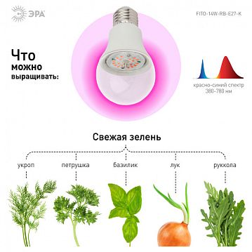 Б0039071 Фитолампа для растений светодиодная ЭРА FITO-14W-RB-E27-K красно-синего спектра 14 Вт Е27  - фотография 5