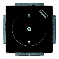 2CKA002011A6195 Розетка с USB ABB BASIC55, скрытый монтаж, с заземлением, со шторками, château-black, 2CKA002011A6195