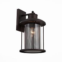 SL080.401.01 SL080.401.01 Светильник уличный настенный ST-Luce Темный кофе/Прозрачный, Темный кофе E27 1*60W