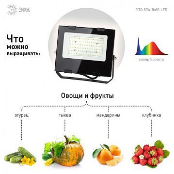 Б0047875 Фитопрожектор для растений светодиодный ЭРА FITO-50W-Ra90-LED для цветения и плодоношения полного спектра 50 Вт  - фотография 4