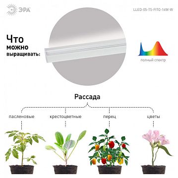 Б0028200 Светильник для растений, фитолампа светодиодная линейная ЭРА LLED-05-T5-FITO-14W-W красно-синего спектра 14 Вт  - фотография 7