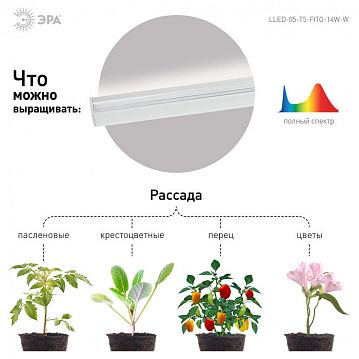 Б0028200 Светильник для растений, фитолампа светодиодная линейная ЭРА LLED-05-T5-FITO-14W-W розового свечения 14 Вт  - фотография 7